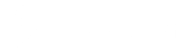 Precision Neuroscience